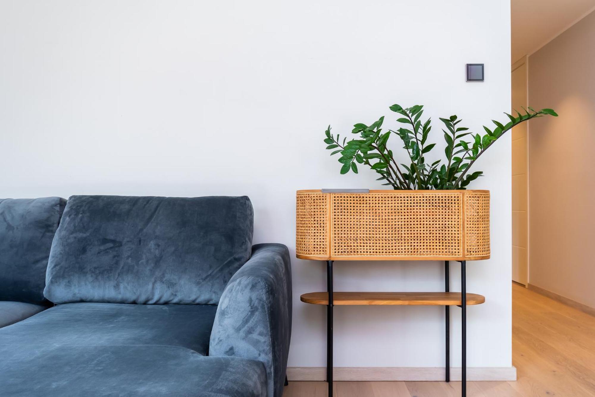 Fabulous Location Apartments Deluxe Tallinn Cameră foto